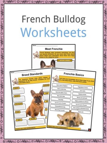 French Bulldog Worksheets