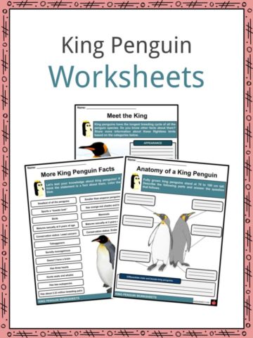 King Penguin Worksheets