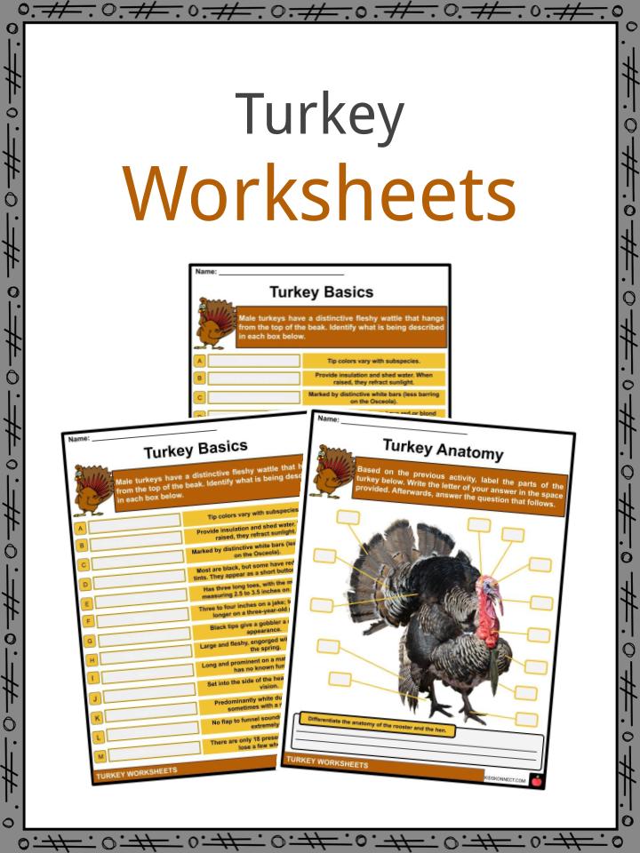 Turkey Facts, Worksheets, History & Name For Kids