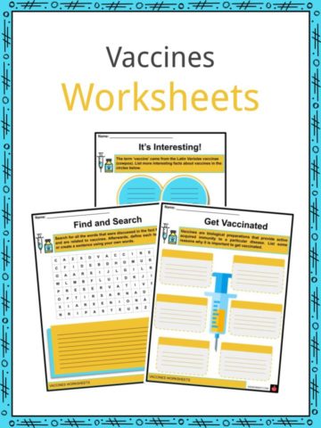 Vaccines Worksheets