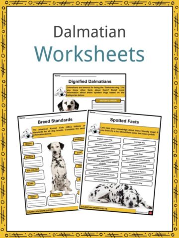 Dalmatian Worksheets