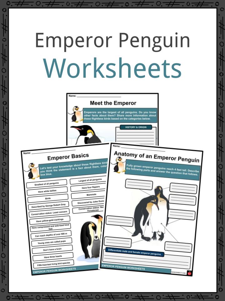 Emperor Penguin Facts Worksheets Taxonomy For Kids