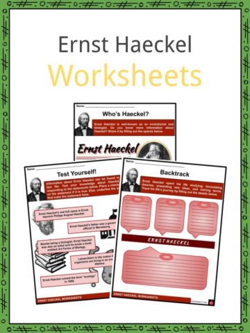 Ernst Haeckel Worksheets