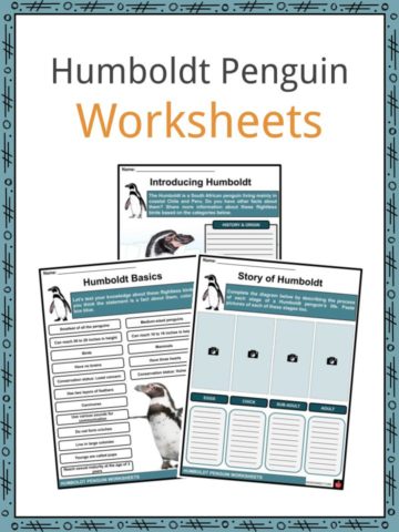 Humboldt Penguin Worksheets