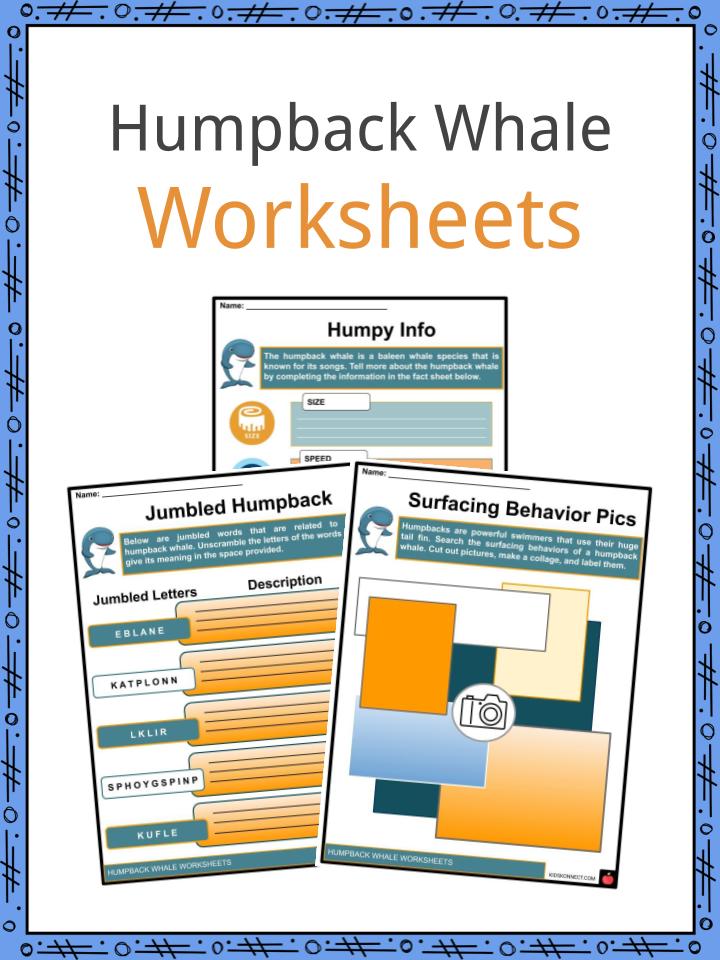 Humpback Whale Worksheets