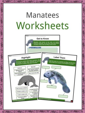 Manatees Worksheets