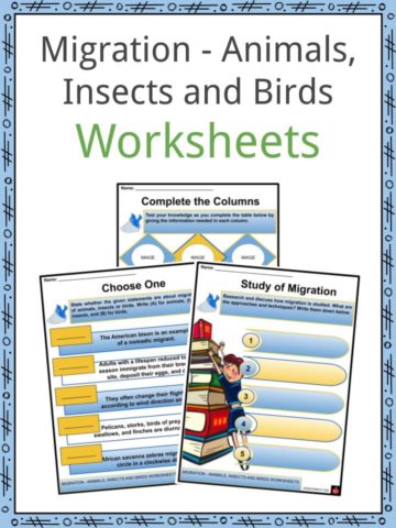 Migration - Animals, Insects and Birds Worksheets