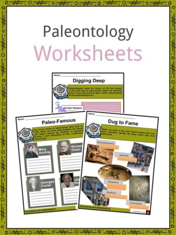 Paleontology Worksheets