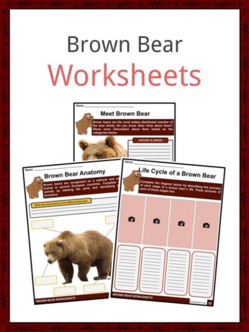 Brown Bear Worksheets