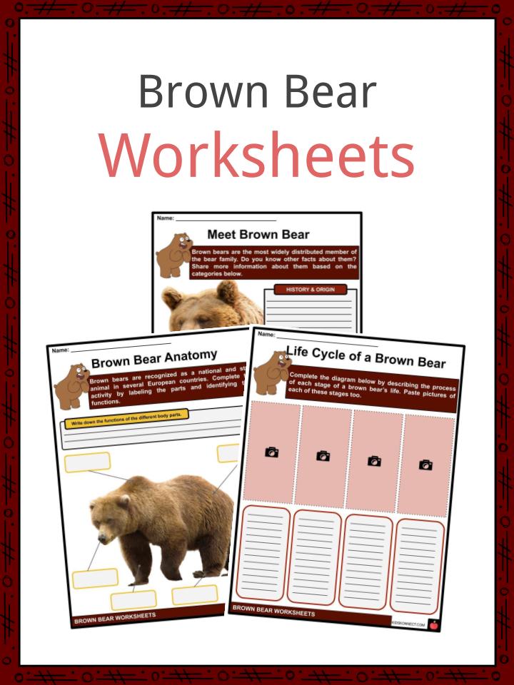 Brown Bear Facts, Worksheets, Description & Distribution For Kids