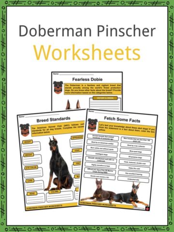 Doberman Pinscher Worksheets