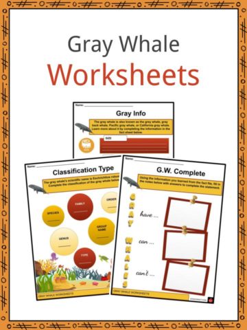 Gray Whale Worksheets