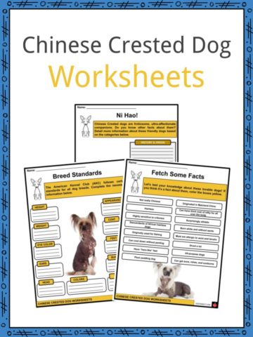 Chinese Crested Dog Worksheets