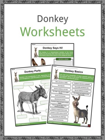Donkey Worksheets