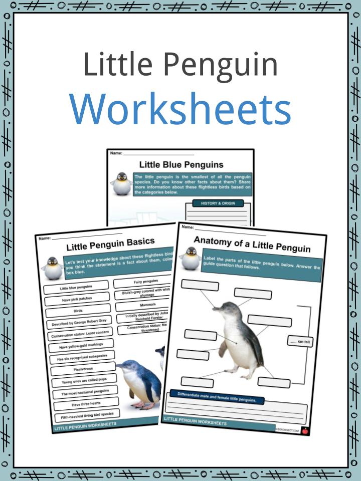 Little Penguin Worksheets