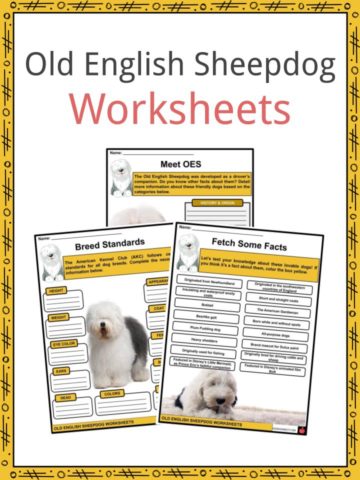 Old English Sheepdog Worksheets