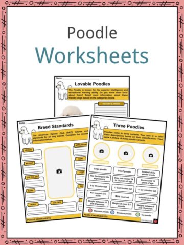 Poodle Worksheets