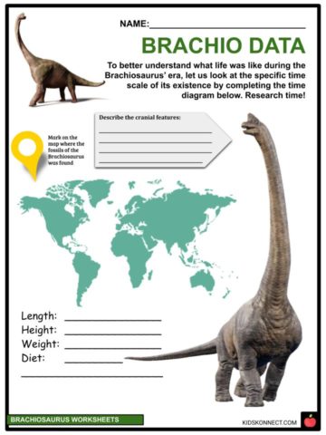 Brachiosaurus Facts, Worksheets & The Jurassic Period For Kids