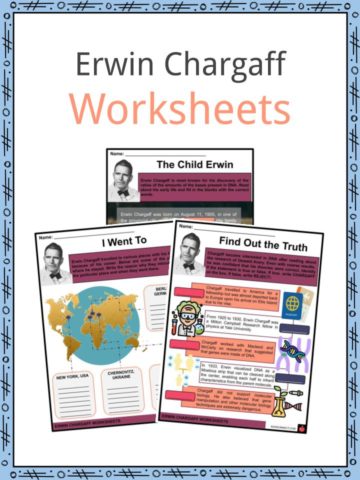 Erwin Chargaff Worksheets