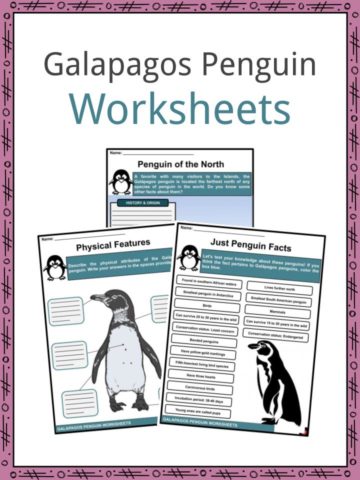 Galapagos Penguin Worksheets