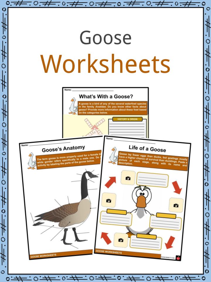 Goose Worksheets