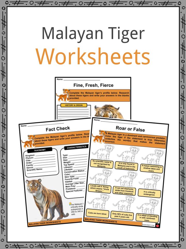 Malayan Tiger Worksheets