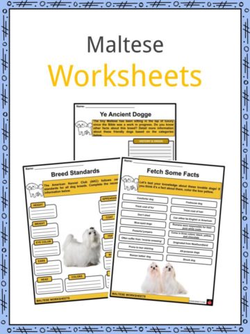 Maltese Worksheets
