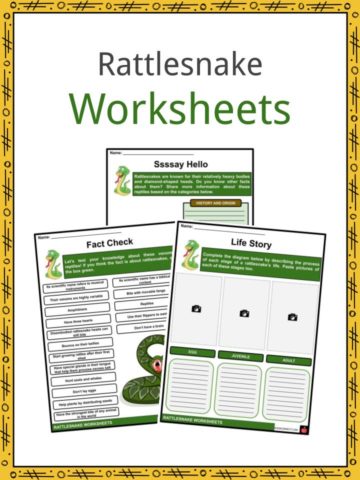Rattlesnake Worksheets