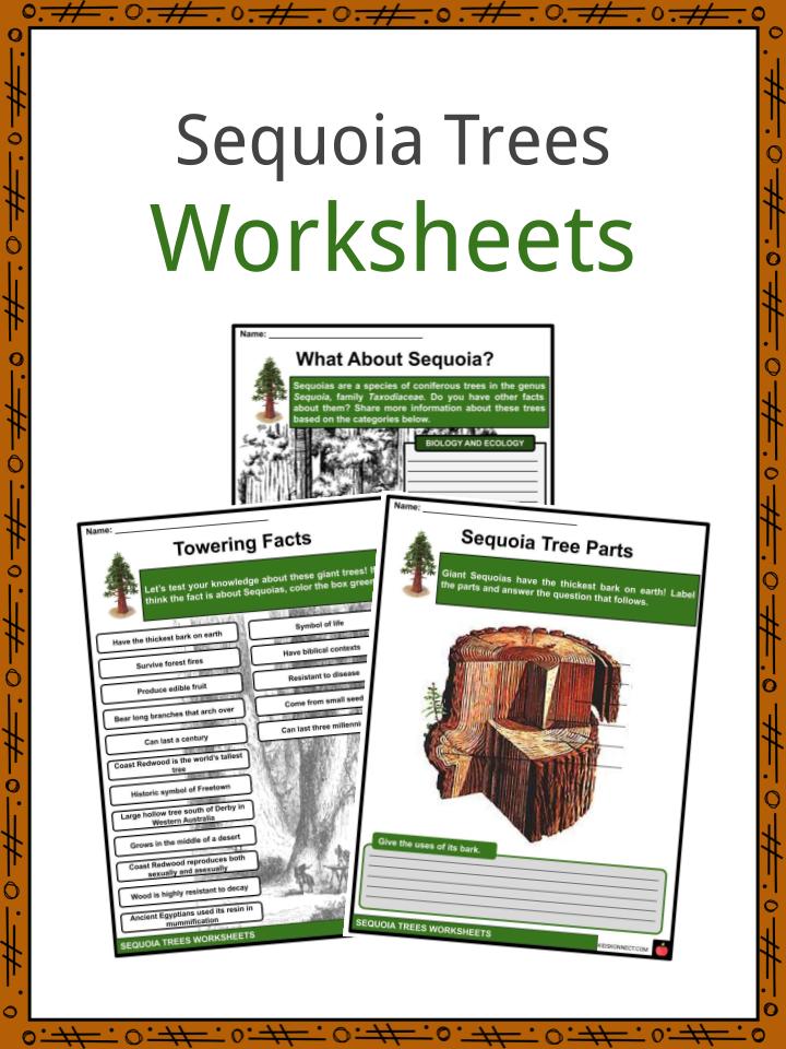 Sequoia Trees Worksheets