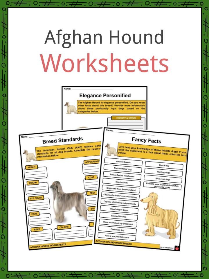 Afghan Hound Worksheets