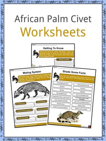 African Palm Civet Worksheets
