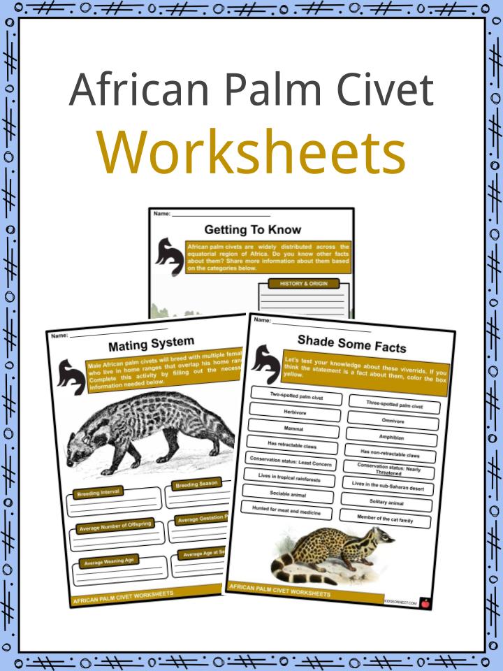 African Palm Civet Worksheets