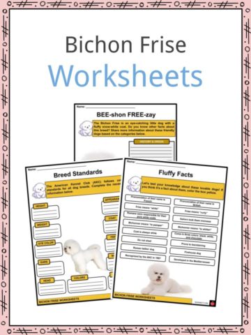 Bichon Frise Worksheets