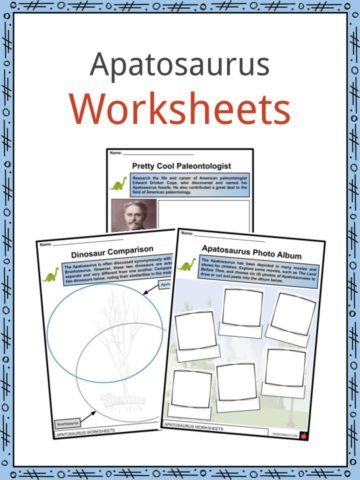 Apatosaurus Worksheets