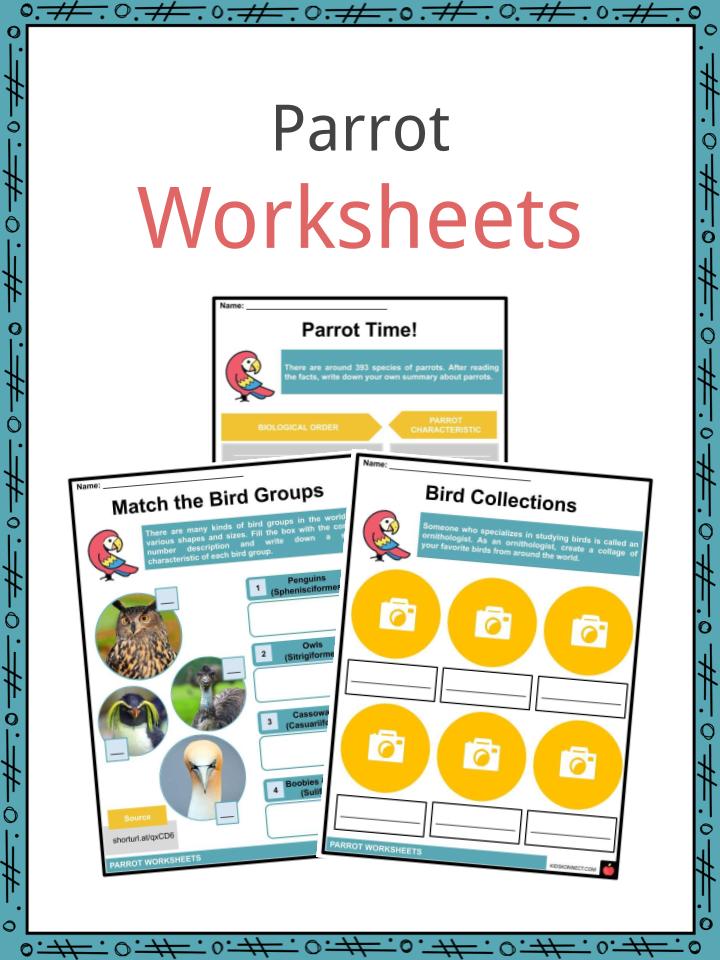Parrot Worksheets