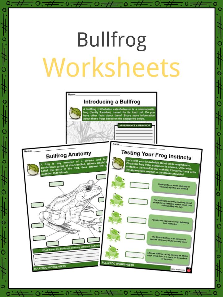 Bullfrog Worksheets
