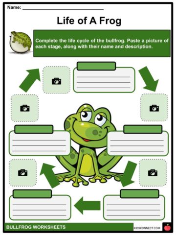 case study are invading bullfrogs harmful worksheet answers