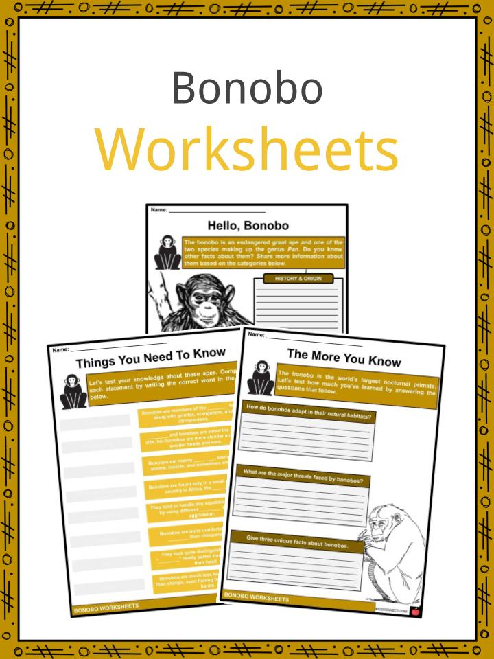 Bonobo Worksheets