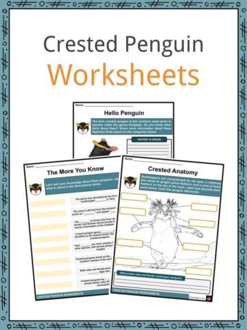 Crested Penguin Worksheets