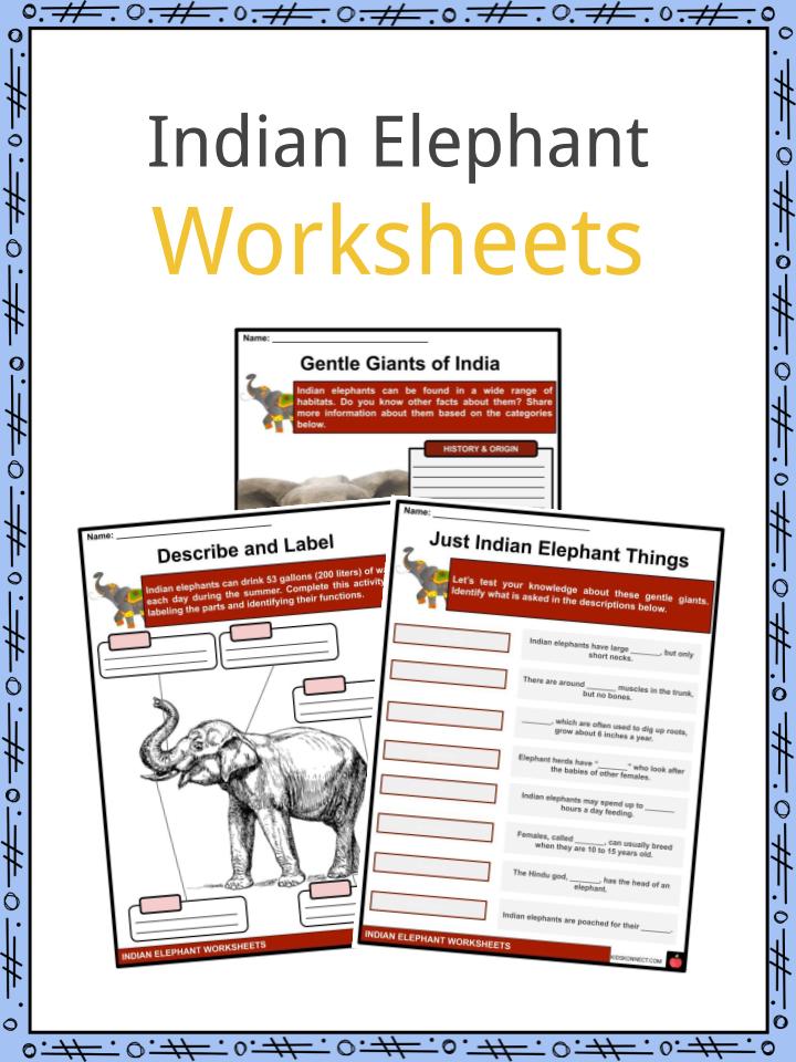 asian elephant facts