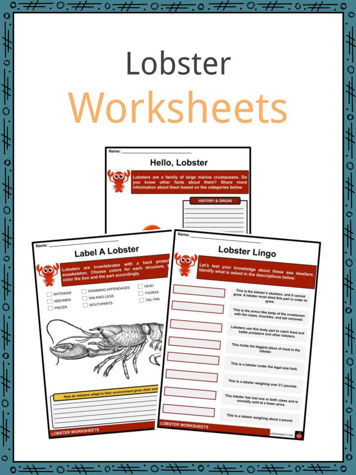 Lobster Worksheets