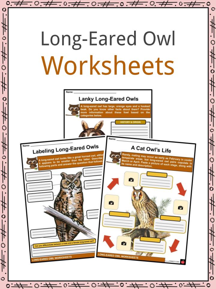 Long-Eared Owl Worksheets