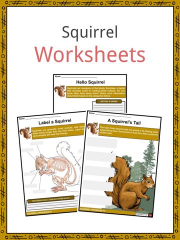 Squirrel Worksheets