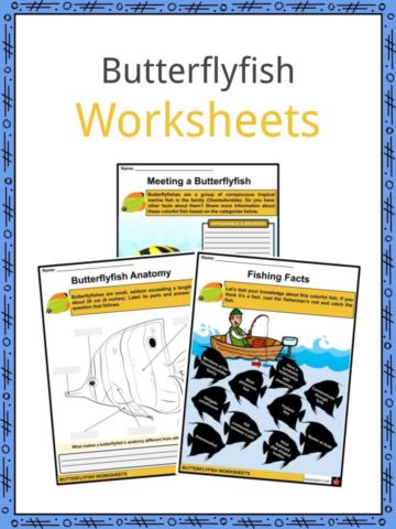 Butterflyfish Worksheets