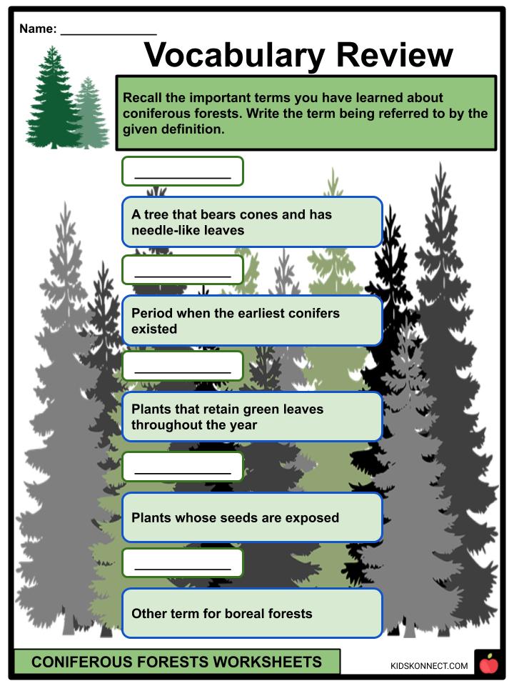Coniferous Forest Plants List