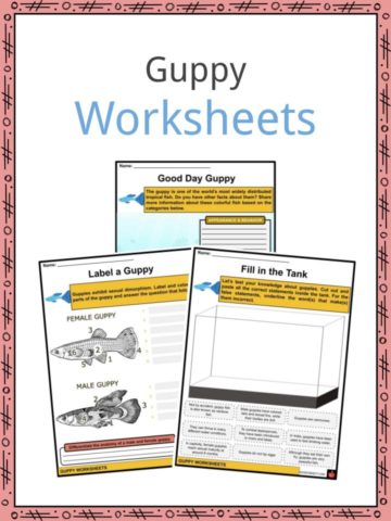 Guppy Worksheets