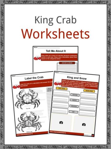 King Crab Worksheets