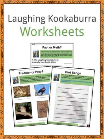 Laughing Kookaburra Worksheets