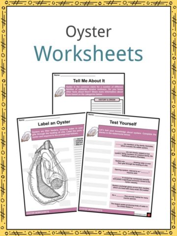 Oyster Worksheets