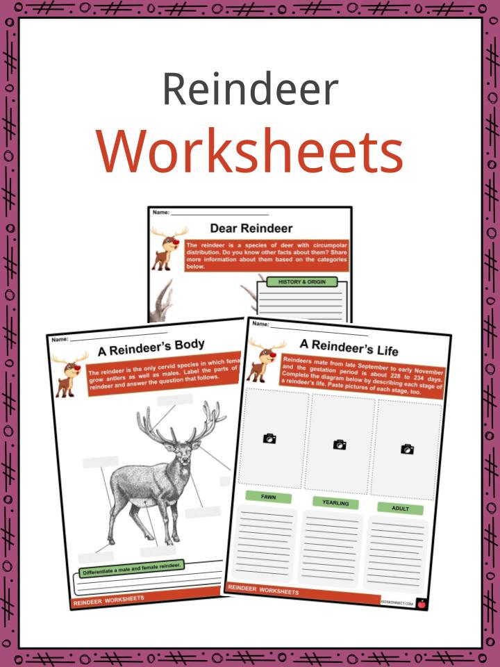 Reindeer Worksheets